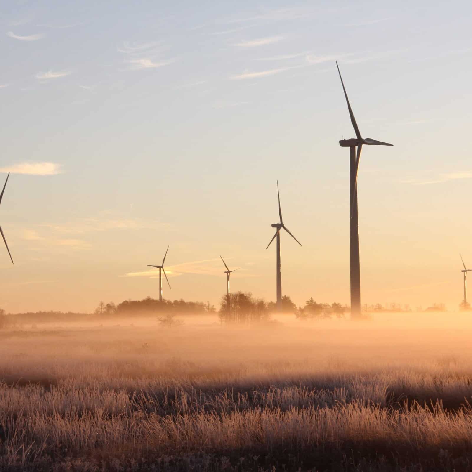 A Group Of Wind Turbines In A Field